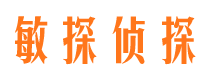 宁明市侦探调查公司